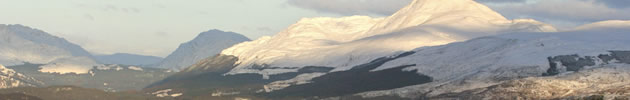 Ben Lomond Inchcailloch foreground in sunlight